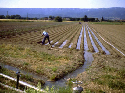 На обеспечение водой приусадебных земель государство выделит субсидии