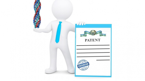 Patent vakillari qanday tartibda qayta tayyorgarlikdan oʻtadilar va malaka oshiradilar 