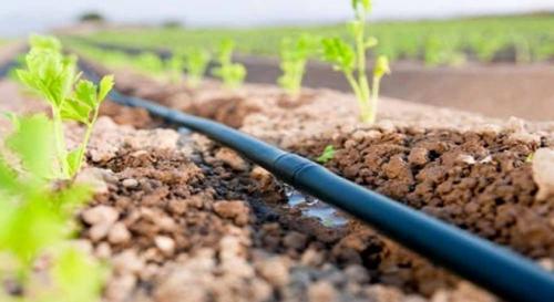 Suvni tejaydigan teхnologiyalardan foydalanuvchilarga subsidiyalar ajratiladi
