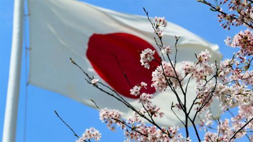 JICA кредитлари бўйича тўловларни амалга оширишнинг прогноз кўрсаткичлари тасдиқланди