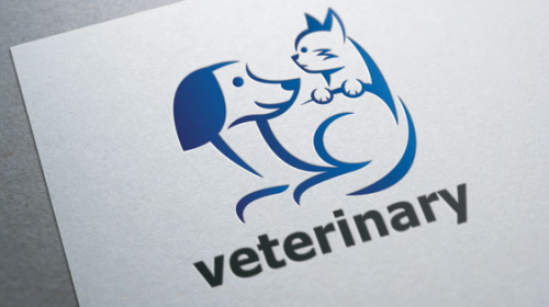 Veterinariya хizmatini rivojlantirish jamgʻarmasi mablagʻlari nimaga sarflanadi?