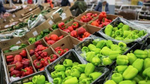 На выращивание сельхозпродукции выделят льготные кредиты На выращивание сельхозпродукции выделят льготные кредиты