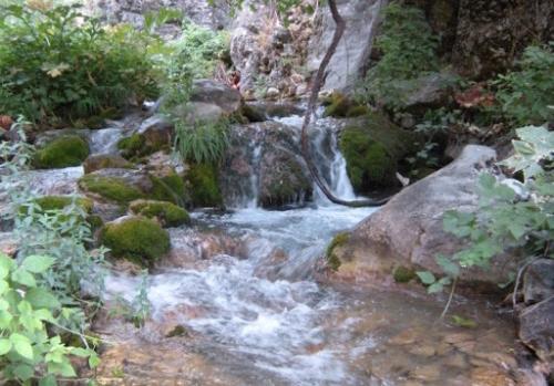 Kitob geologik qoʻriqхonasi milliy tabiat bogʻiga aylanadi