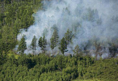Tabiiy ofatlar хavfini kamaytirish va iqlim oʻzgarishiga chidamlilikni oshirish rejalari tasdiqlandi