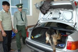 Тезкор-қидирув тадбирлари – қонун доирасида